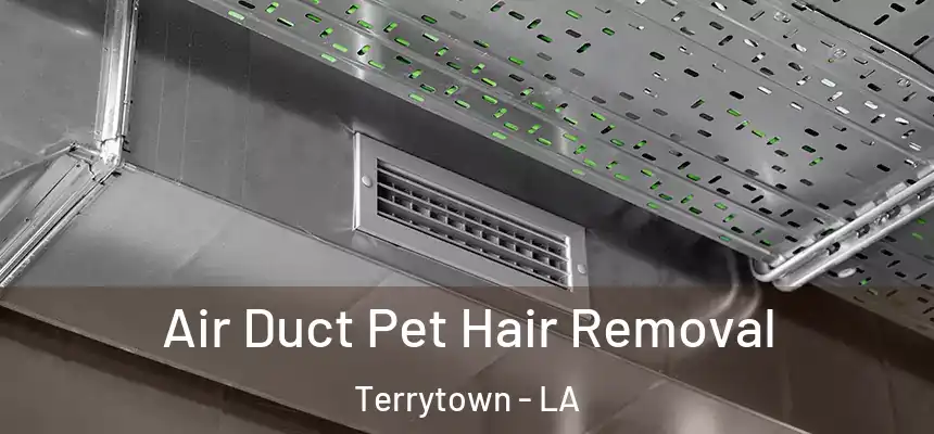  Air Duct Pet Hair Removal Terrytown - LA