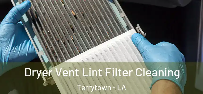  Dryer Vent Lint Filter Cleaning Terrytown - LA