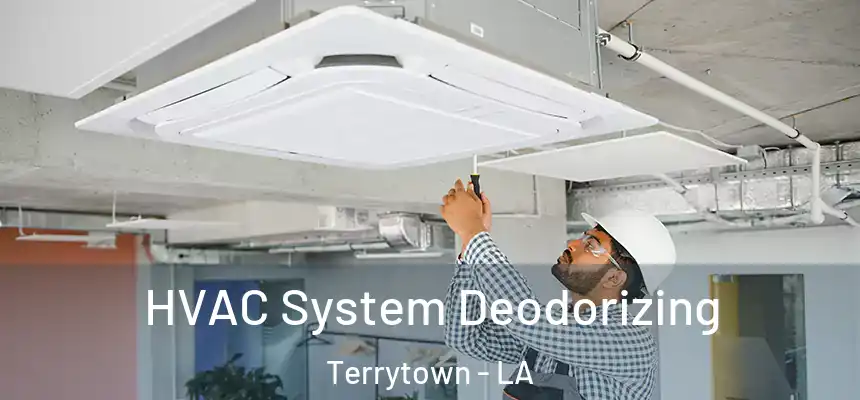  HVAC System Deodorizing Terrytown - LA