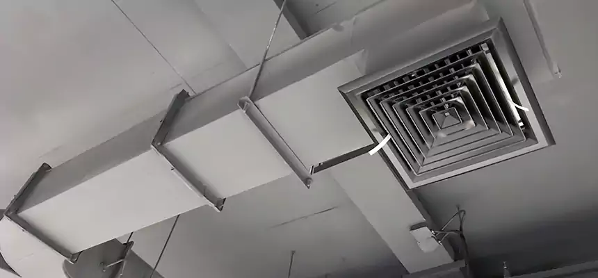 Restorative Allergy Relief Vent Cleaning – Coil, Blower & Housing Detail in Terrytown