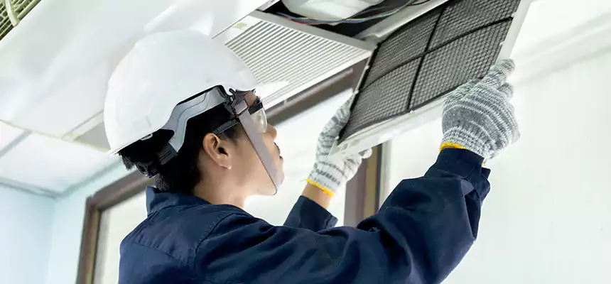 Our Mold & Mildew Removal from Air Ducts Services in Terrytown, LA