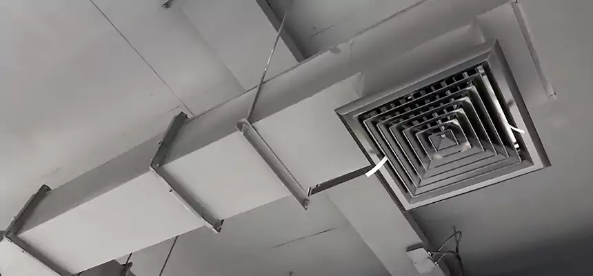 Our Rodent Droppings In Vents Services in Terrytown, LA