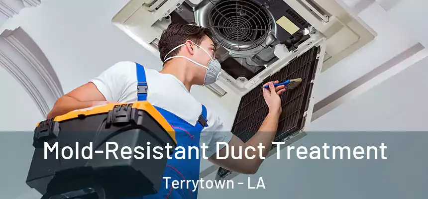  Mold-Resistant Duct Treatment Terrytown - LA