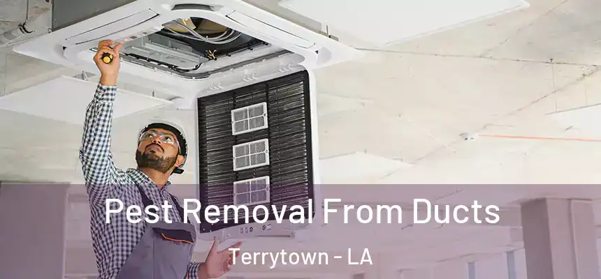  Pest Removal From Ducts Terrytown - LA