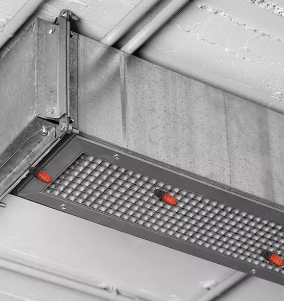 Affordable Insect Removal from Air Ducts in Terrytown, LA