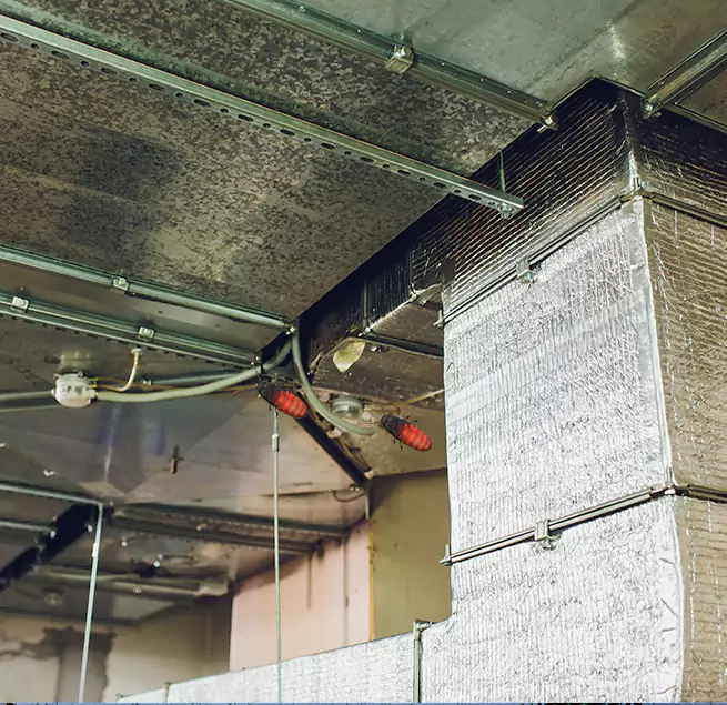 Why Homeowners & Businesses Trust Us Terrytown, LA?